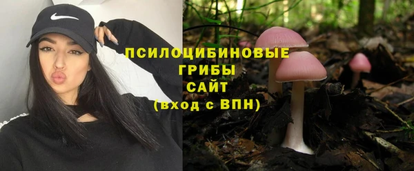 каннабис Аркадак