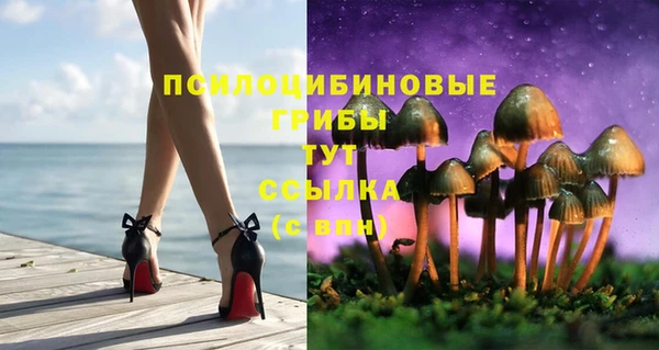 каннабис Аркадак