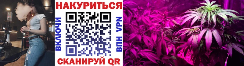 omg маркетплейс Хадыженск Бошки марихуана сатива